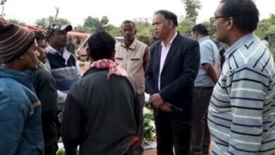 Collector Shri Dhruv