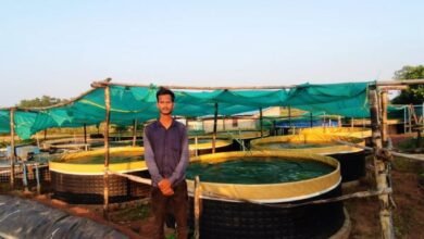 fish farming