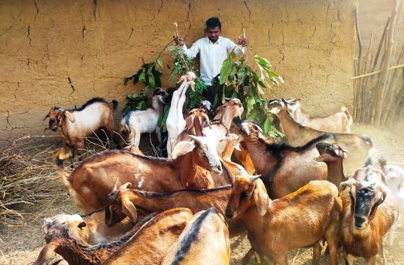 प्रोजेक्ट उन्नति से प्रशिक्षण