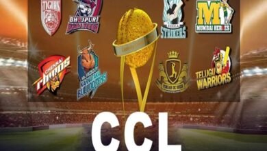 Celebrity Cricket League 2023