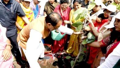 शिव वाटिका