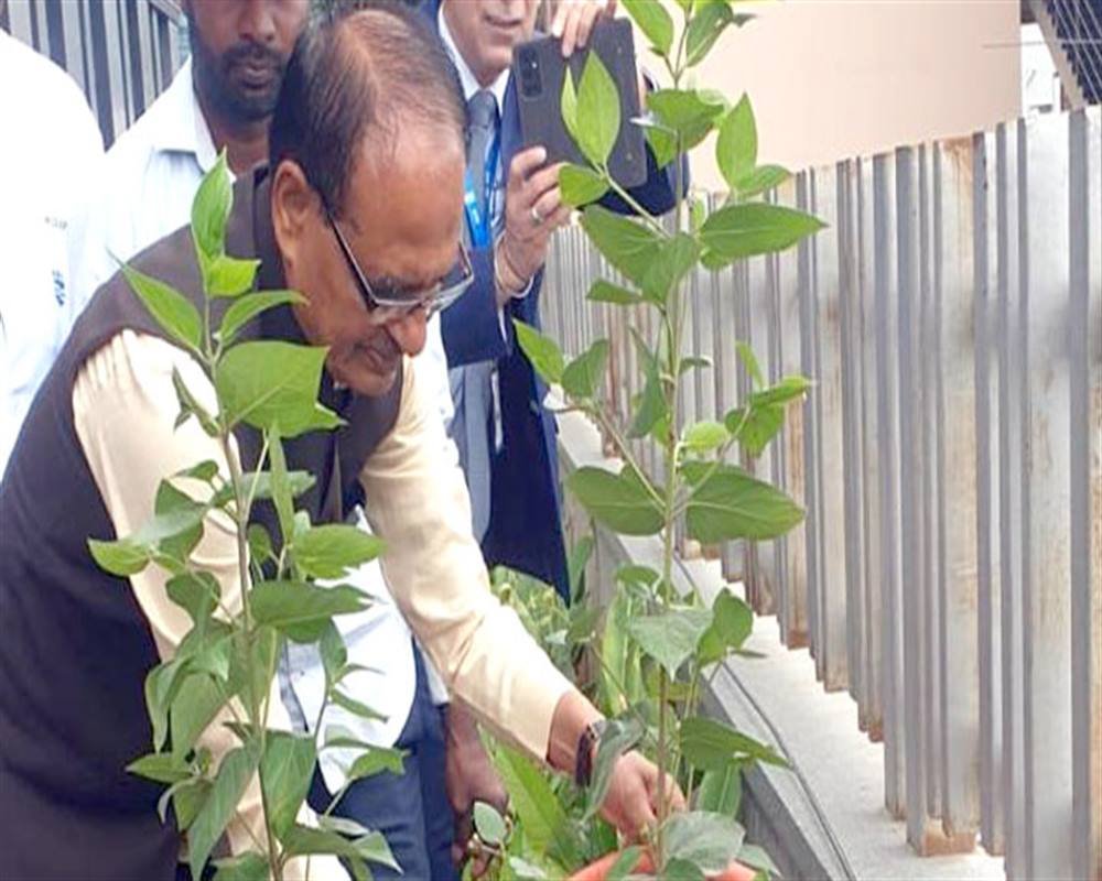 Chief Minister Shri Chouhan planted saplings