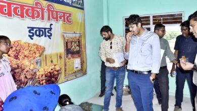 artificial jewelry in Ripa