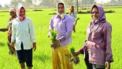 राजीव गांधी किसान न्याय योजना
