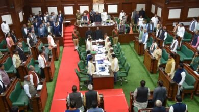 अब केंद्रीय योजनाओं पर ही कर रहे फोकस