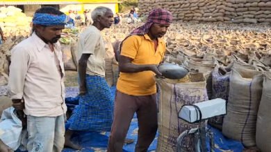 धान की खरीदी