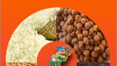 61 लाख 28 हजार राशन कार्डधारियों ने किया नवीनीकरण के लिए ऑनलाइन आवेदन