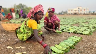 बस्तर के हरा सोना संग्राहकों को बैंक मित्र एवं बैंक सखियों