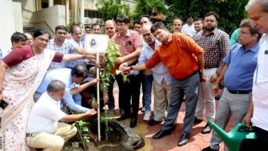 एक पेड़ माँ के नाम