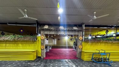 हरेली तिहार मनाने सज गया मुख्यमंत्री निवास