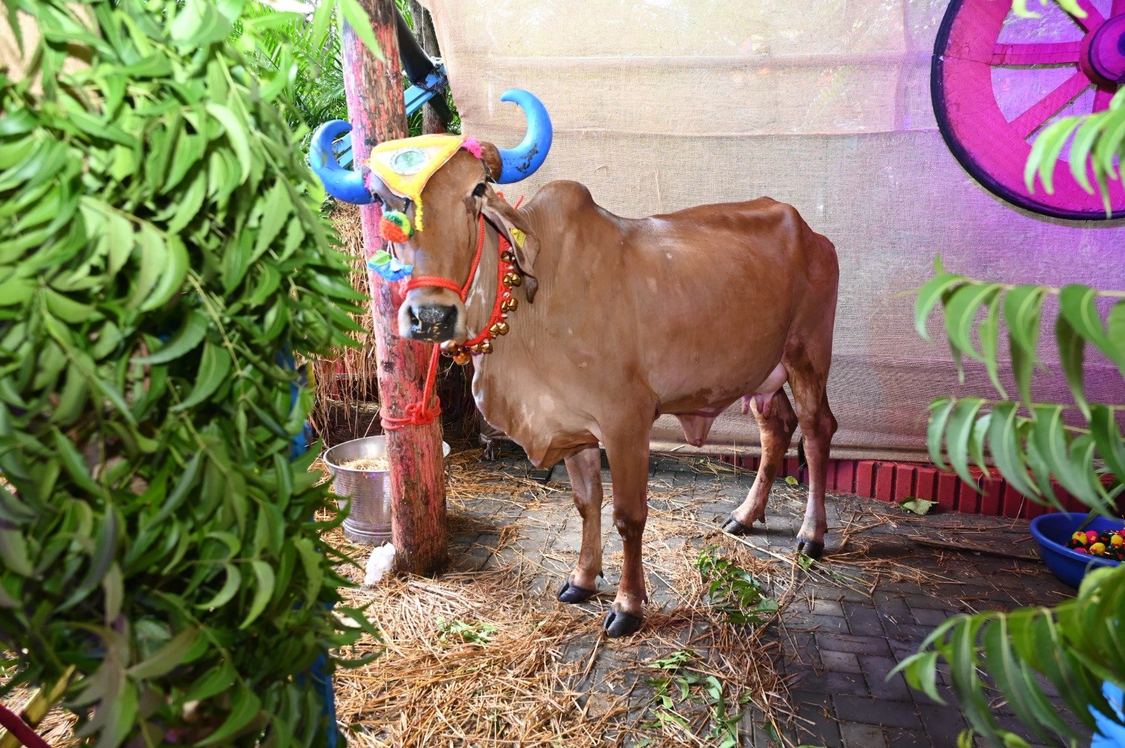 छत्तीसगढ़ी पकवान से महक उठा मुख्यमंत्री निवास