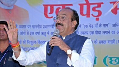 उप मुख्यमंत्री श्री अरुण साव ने अपनी मां के सम्मान में लगाया पौधा