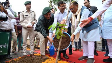 मुख्यमंत्री ने आम का पौधा रोपकर बस्तर ज़िले में की एक पेड़ माँ