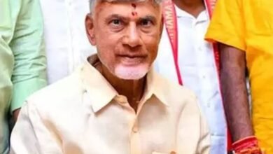 TDP welcomes NDA's acceptance of one nation, one election