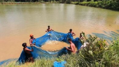एक साधारण किसान से मछली पालन के अग्रदूत बनने तक की प्रेरक यात्रा