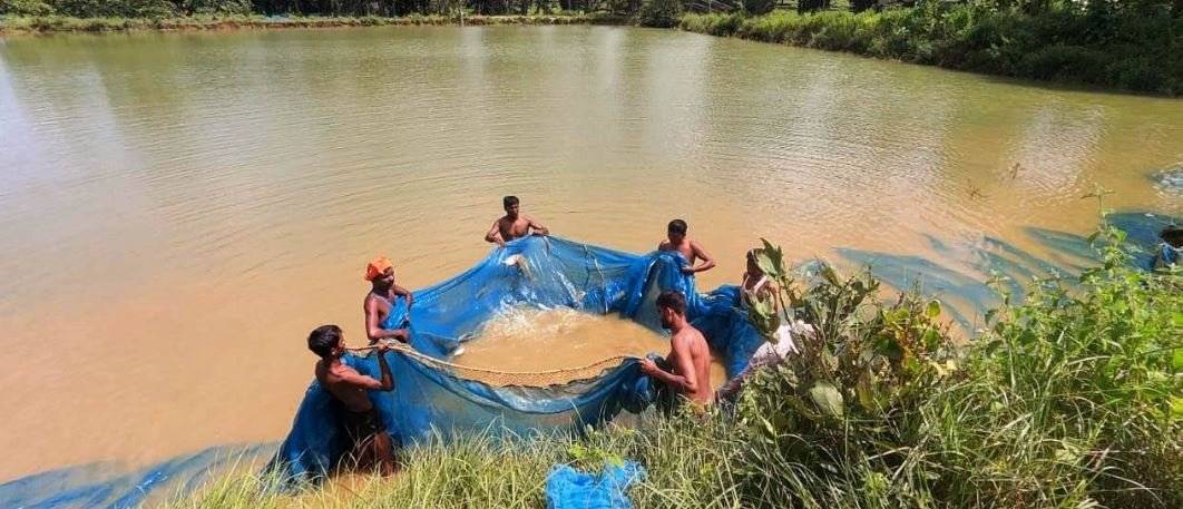 एक साधारण किसान से मछली पालन के अग्रदूत बनने तक की प्रेरक यात्रा