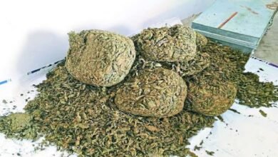 गांजा तस्करी के