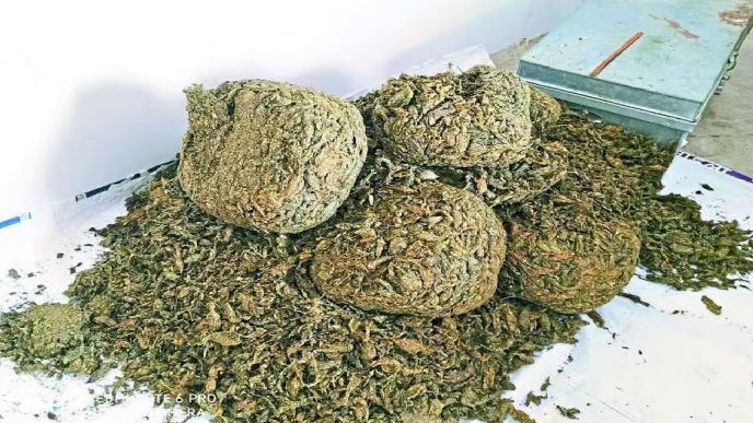 गांजा तस्करी के