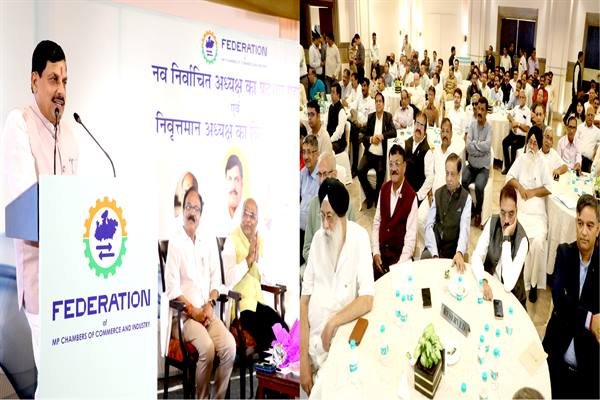 फार्मा सेक्टर सहित अन्य सेक्टर्स का करेंगे विकास