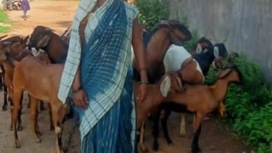 मुख्यमंत्री सक्षम सुरक्षा योजना