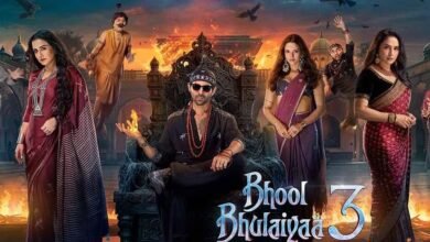 Bhool Bhulaiya 3