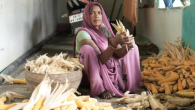 रामबाई के लिए महतारी वंदन योजना