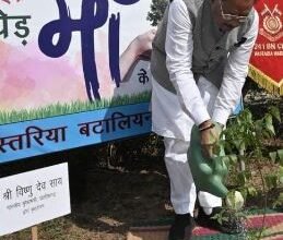 मुख्यमंत्री श्री विष्णु देव साय ने 'एक पेड़ मां के नाम' अभियान