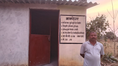 Golden opportunity to become financially prosperous through poultry farming business