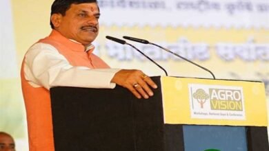 Madhya Pradesh and Maharashtra will work as one and eleven