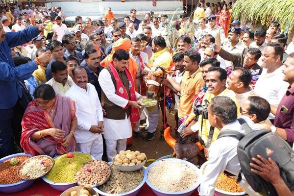 गोवर्धन पूजा कर गौ-माता की सेवा की