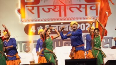 छत्तीसगढ़ राज्योत्सव में सिंचाई परियोजनाओं की आकर्षक झांकी