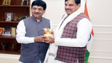 State Minister for Skill Development Shri Agarwal met Chief Minister Dr. Yadav