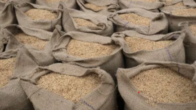 The problem of farmers was solved on the initiative of Chief Minister Shri Vishnu Dev Sai