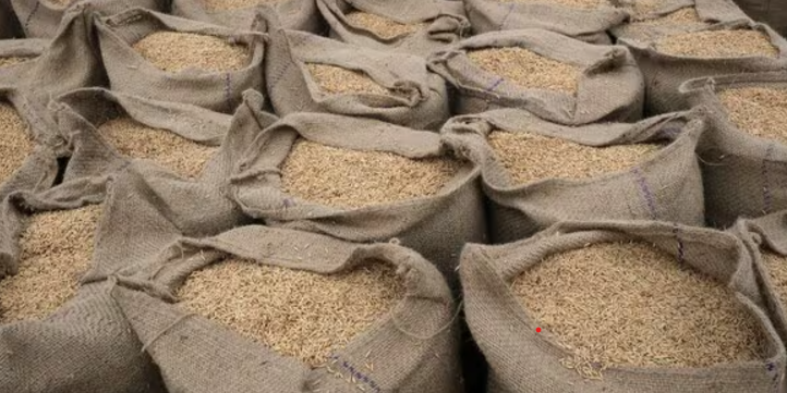 The problem of farmers was solved on the initiative of Chief Minister Shri Vishnu Dev Sai