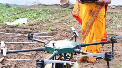 With the help of technology, Drone Didi Chandrakali Verma earned two lakh rupees in Kharif and Rabi seasons