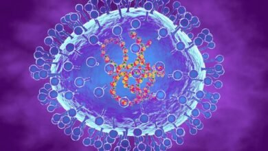 Technical committee formed to prepare necessary suggestions and guidelines regarding HMPV