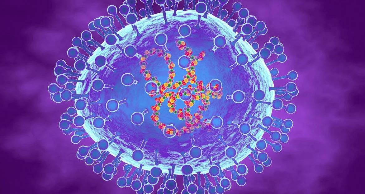 Technical committee formed to prepare necessary suggestions and guidelines regarding HMPV